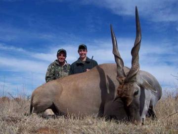 South Africa Kalahari Desert Gemsbok Hunting Safari 8