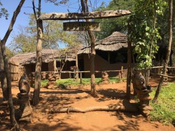 Mozambique crocodile camp lodge