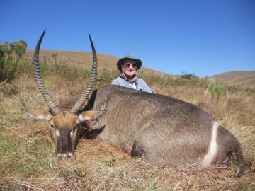 A good waterbuck