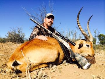 Free State Reedbuck