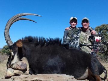 Bow and arrow hunted sable