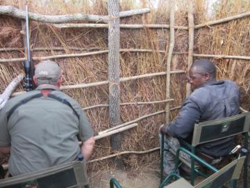 Waiting in the blind for the leopard