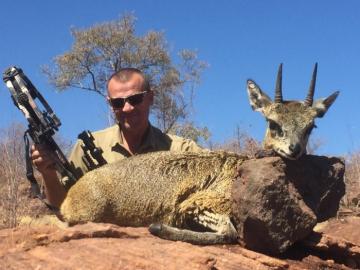 Big Trophy klipspringer