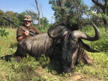 Big Blue Wildebeest