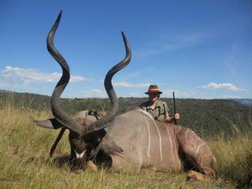 Trophy Midlands Kudu