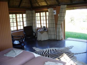 Hunt Cape Buffalo in South Africa 17