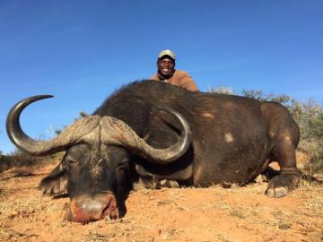 Hunt Cape Buffalo in South Africa 1