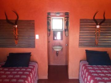 Warthog Cull Hunt Lodge