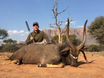 Huge Nyala