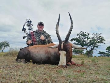 Trophy Blesbuck hunted with a bow and arrow