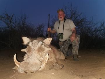 Warthog Trophy in Limpopo