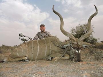 Trophy Kudu