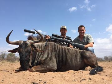 Long Distance Blue Wildebeest trophy