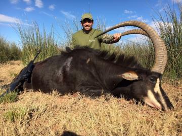 Hunt Cape Buffalo in South Africa 12