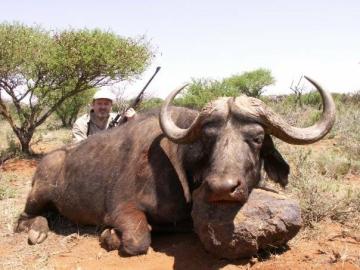 South Africa Buffalo Hunt 13