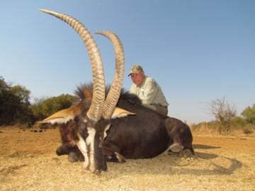 Hunt Sable in South Africa 6