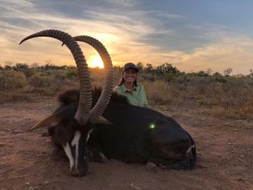 Sable and Roan Hunt in South Africa 7