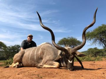 Nice Kudu Bull Trophy