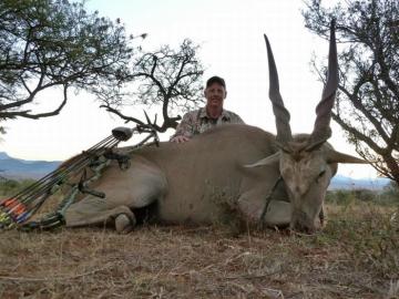 Eland Trophy with a Bow