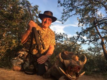 Giant warthog trophy