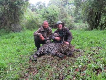 High Forest Leopard in Ethiopia