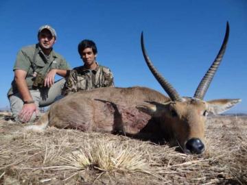 Free-Range Reedbuck Slam hunting Safari in Kwazulu-Natal 11
