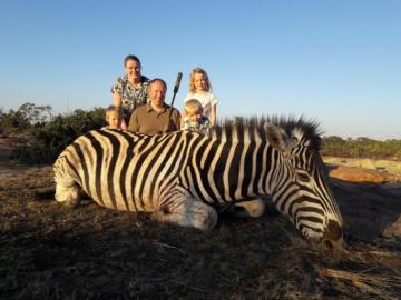 Nice Zebra Trophy
