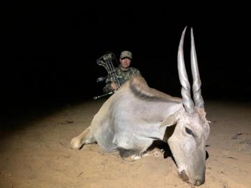 Namibia Bow hunted eland trophy