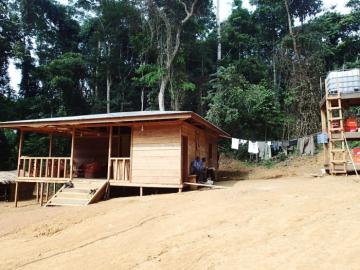 Cameroon Forest Elephant Rain Forest Camp