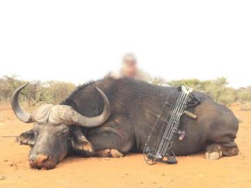 Trophy Cape Buffalo Bow Hunt