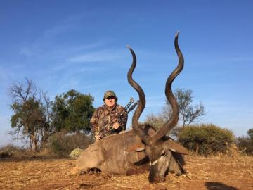Big narrow kudu with a bow