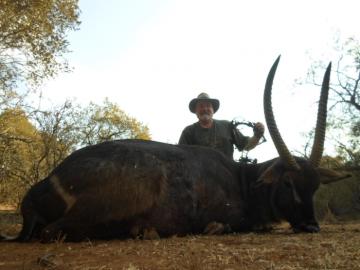 Waterbuck hunted with a bow
