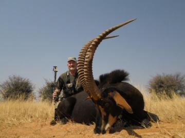 Sable Bull taken with a bow