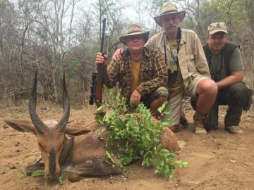 Chobe bushbuck in Zimbabwe