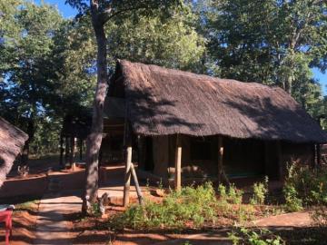 Thatched Leopard Camp in Zimbabwe