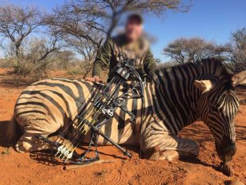 South Africa Zebra Bow Hunt