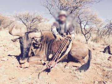 Trophy Bow Hunt Wildebeest