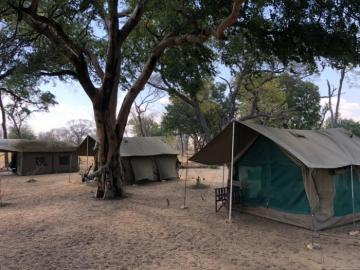 Discounted Zimbabwe leopard hunt tented camp.