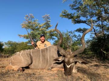 Trophy Zimbabwe kudu trophy