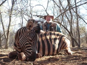 Zebra taken on bow hunting only concession