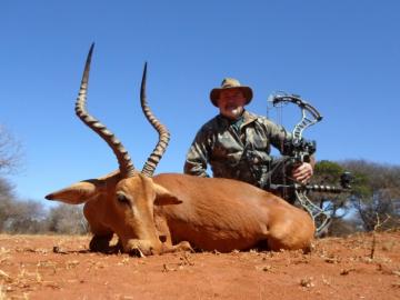Bow hunted impala