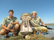 Bull Hippo Trophy