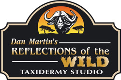 Dan Martin’s Reflections of the Wild
